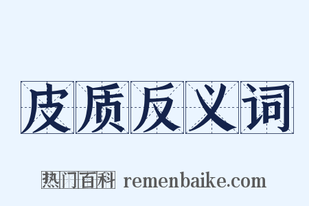 皮质反义词是什么意思的图片